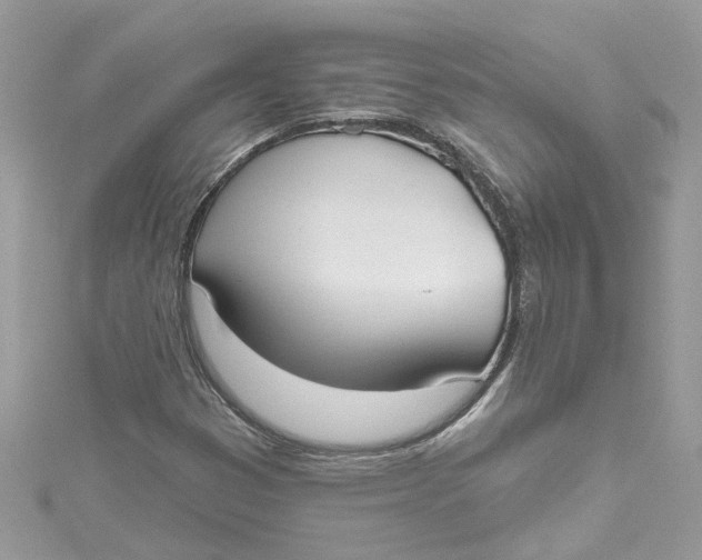 X0000115051353200911161539