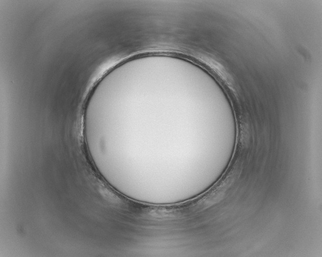 X0000115051366200911161539