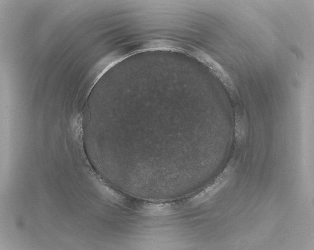 X0000115051369200911161539