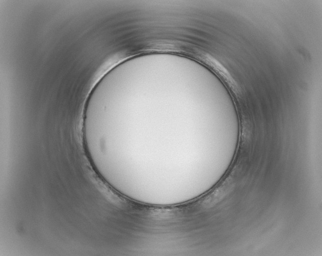 X0000115051378200911161539