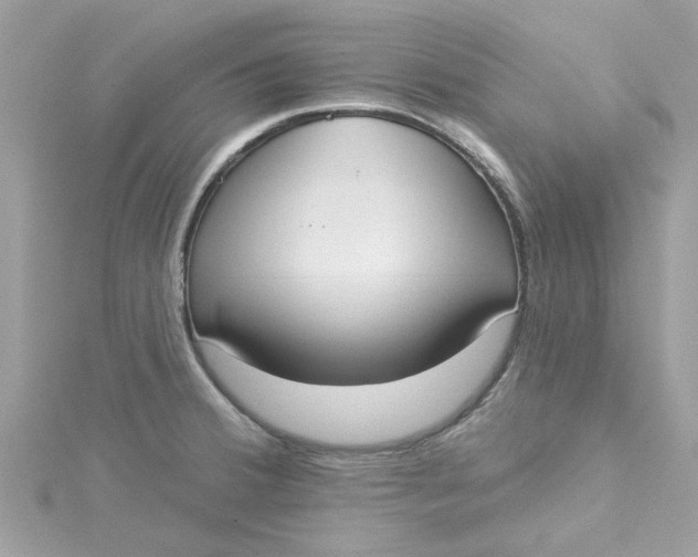 X0000115051380200911161539