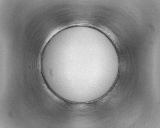 X0000115051382200911161539