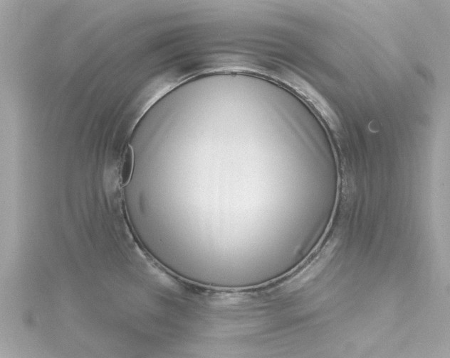 X0000115051385200911161539