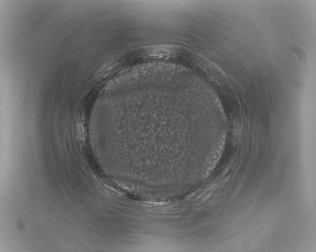 X0000115051394200911161538