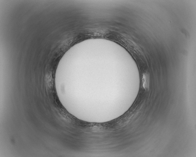 X0000115051395200911161538