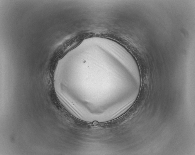 X0000115051398200911161538
