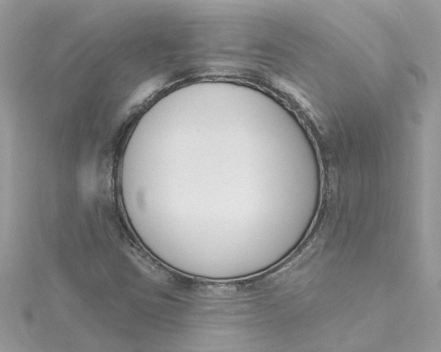 X0000115051403200911161538