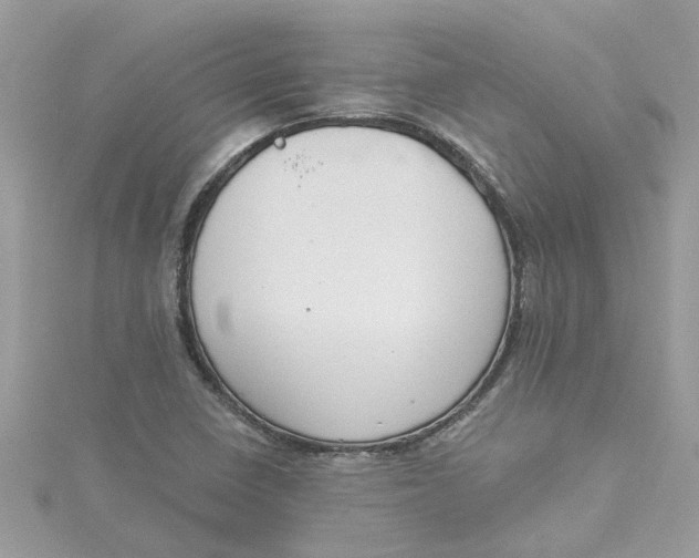X0000115051410200911161538