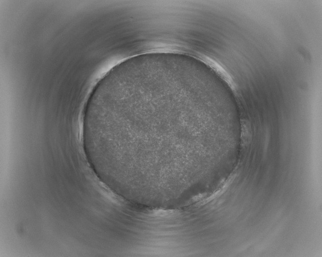 X0000115051419200911161539