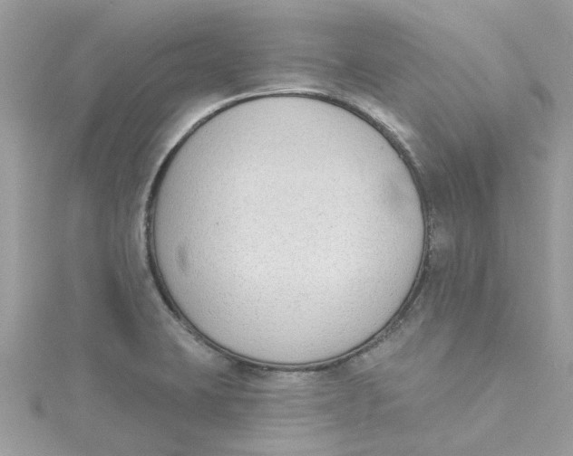 X0000115051423200911161539