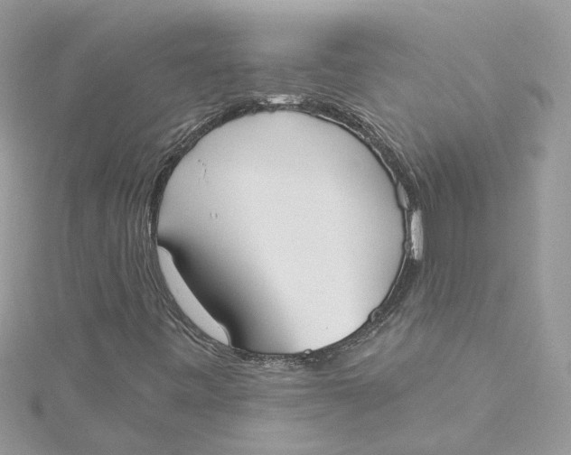 X0000115051443200911161538