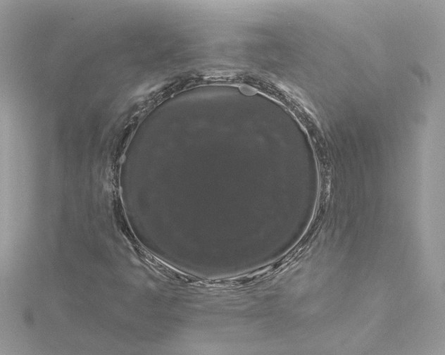 X0000115051445200911161538