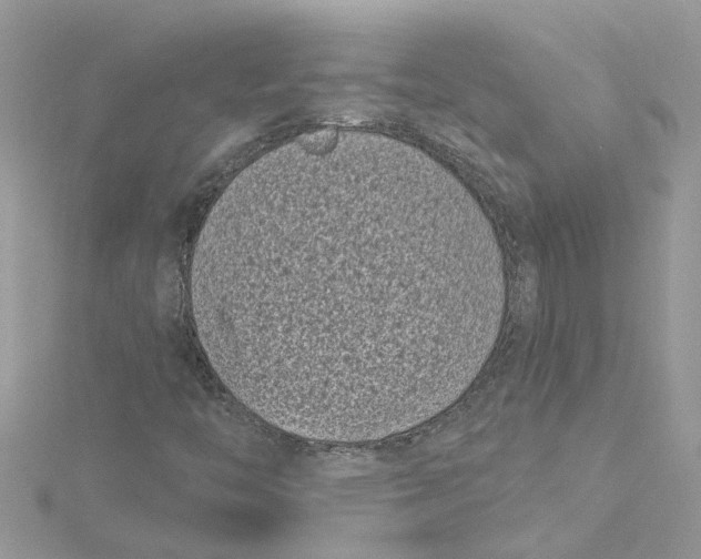X0000115051446200911161538