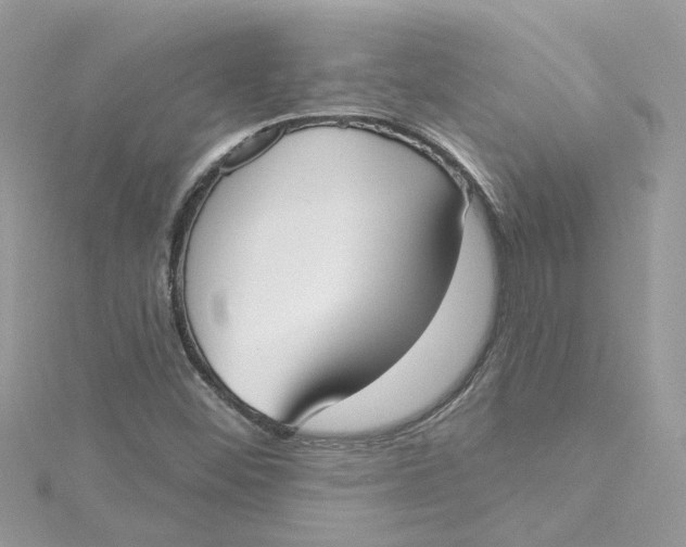 X0000115051452200911161538