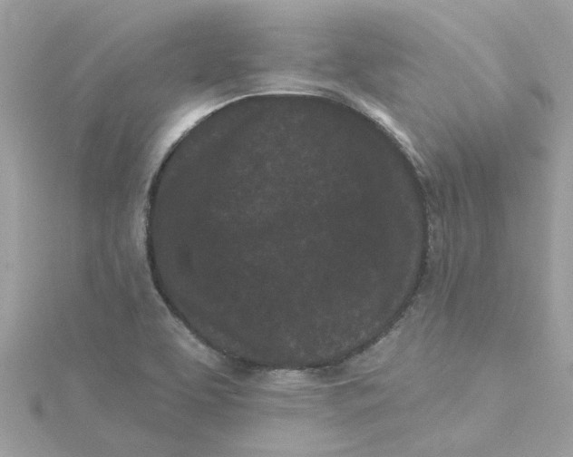 X0000115051463200911161538