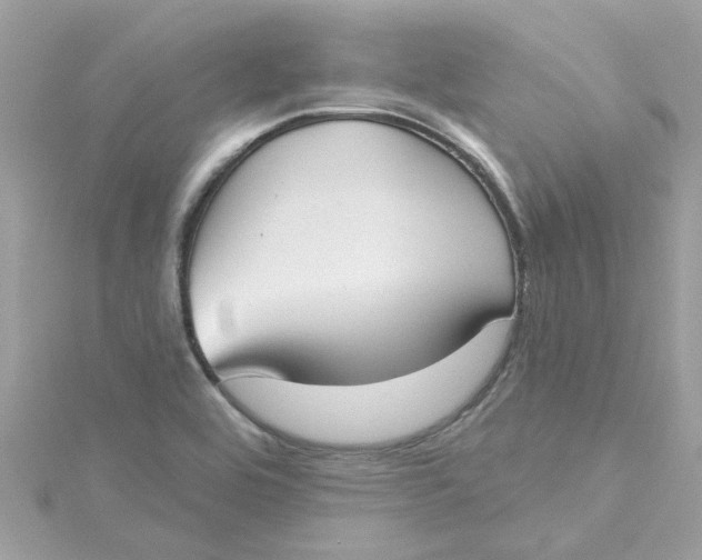 X0000115051464200911161538