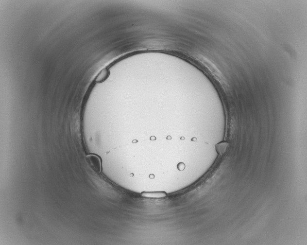 X0000115051465200911161538