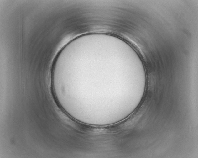 X0000115051467200911161538