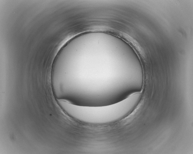 X0000115051473200911161538