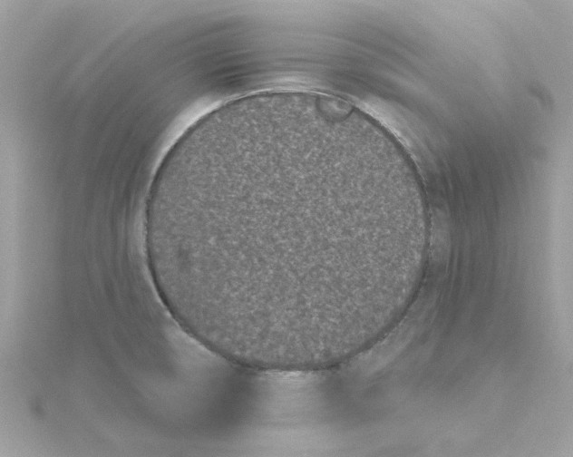 X0000115051474200911161538