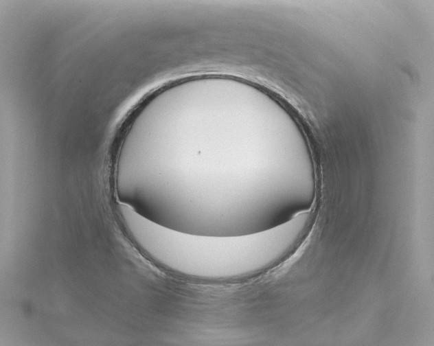 X0000115051502200911161537