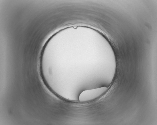 X0000115051518200911161537