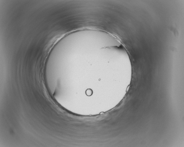 X0000115050001200911231203