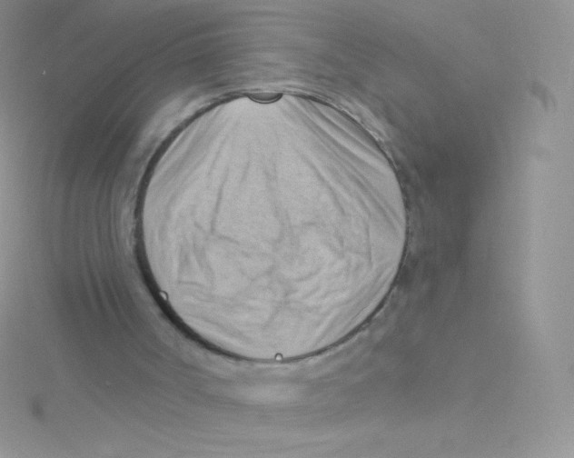 X0000115050002200911231203