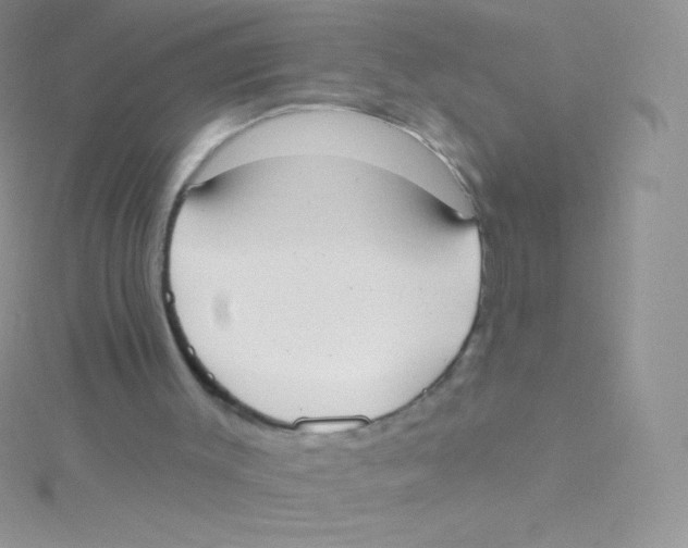 X0000115050003200911231203