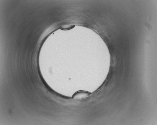 X0000115050004200911231203