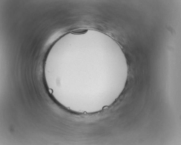 X0000115050005200911231203