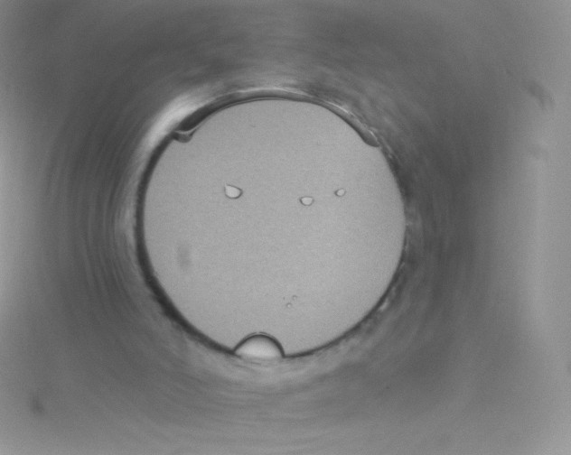 X0000115050006200911231203