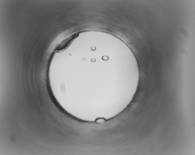 X0000115050007200911231203