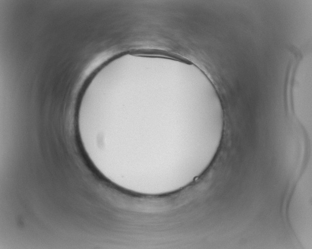 X0000115050008200911231203