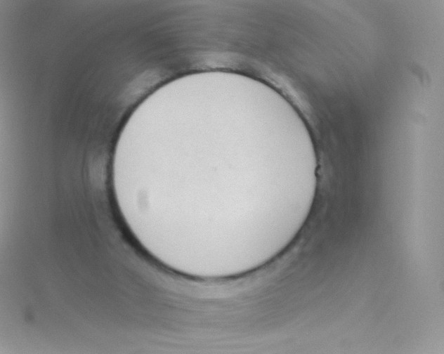 X0000115050010200911231203