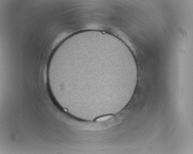 X0000115050011200911231203