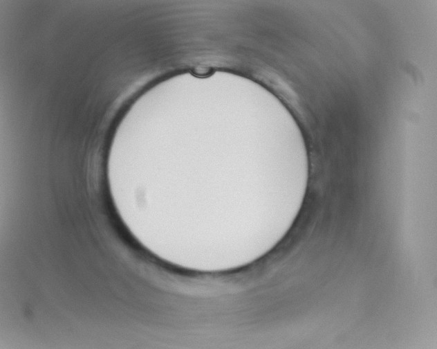 X0000115050012200911231203