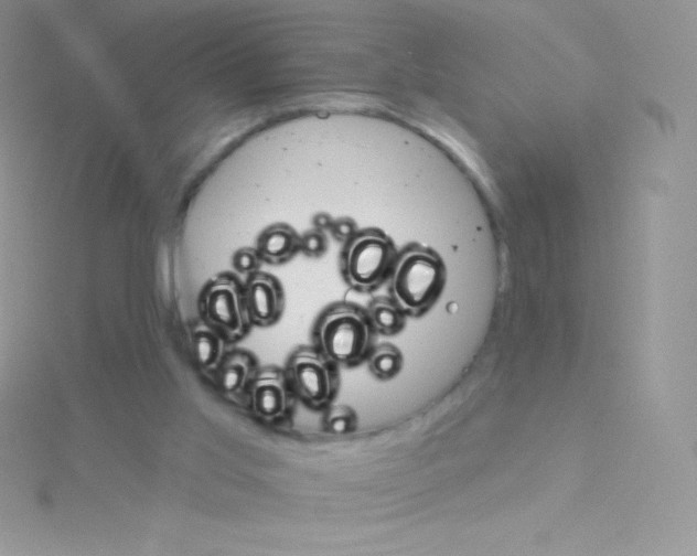 X0000115050013200911231203