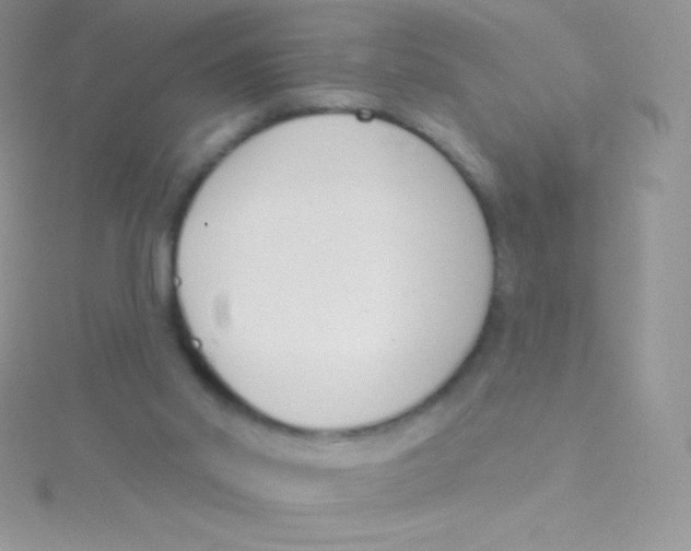 X0000115050014200911231203