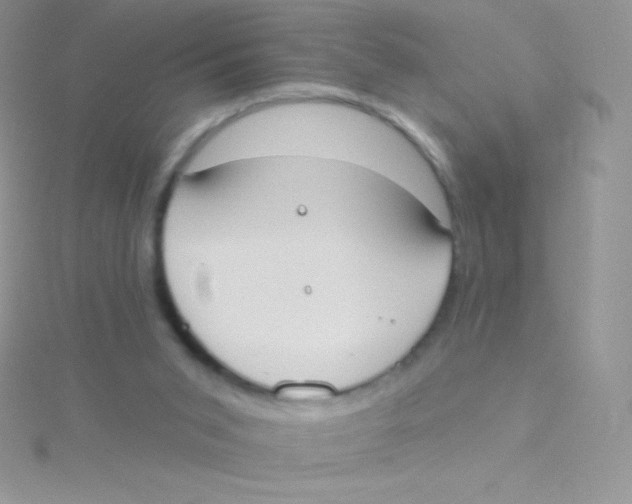 X0000115050015200911231203