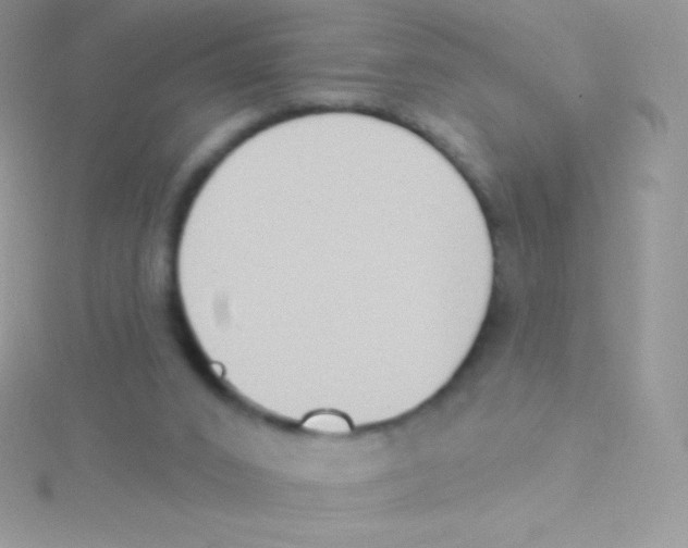 X0000115050016200911231203