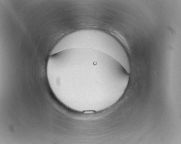 X0000115050017200911231203