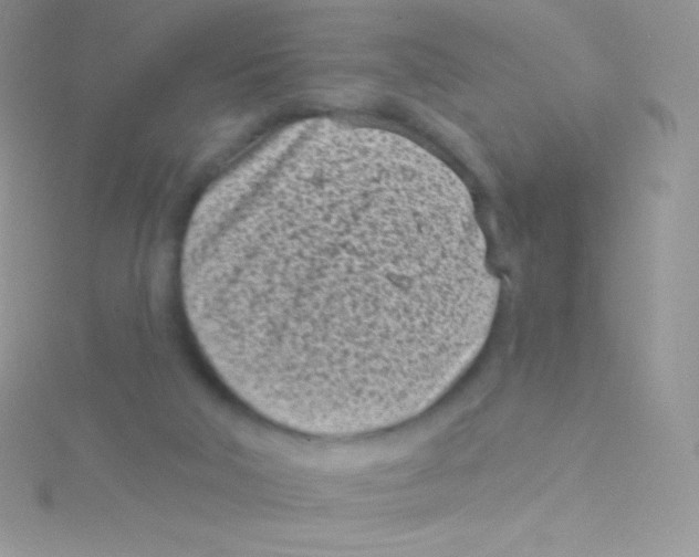 X0000115050018200911231203