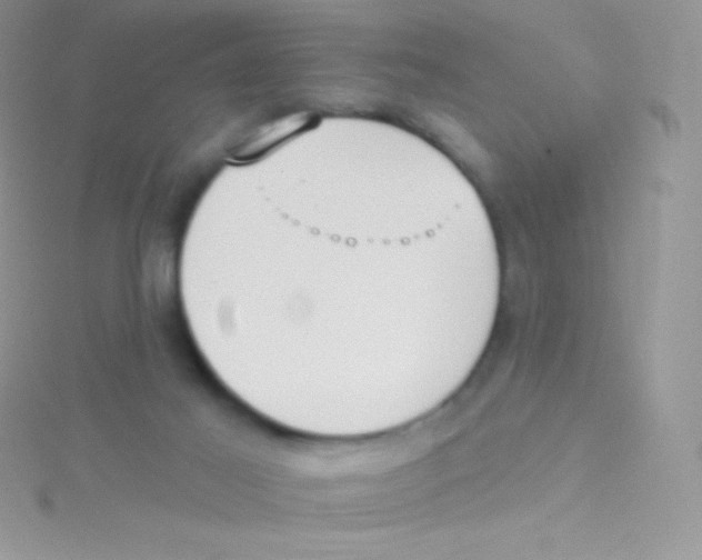 X0000115050021200911231203