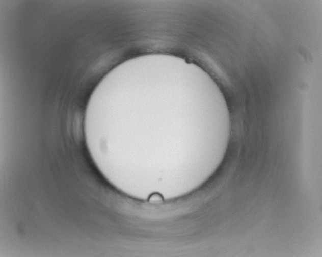 X0000115050022200911231203