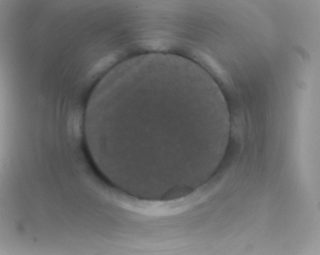 X0000115050023200911231203