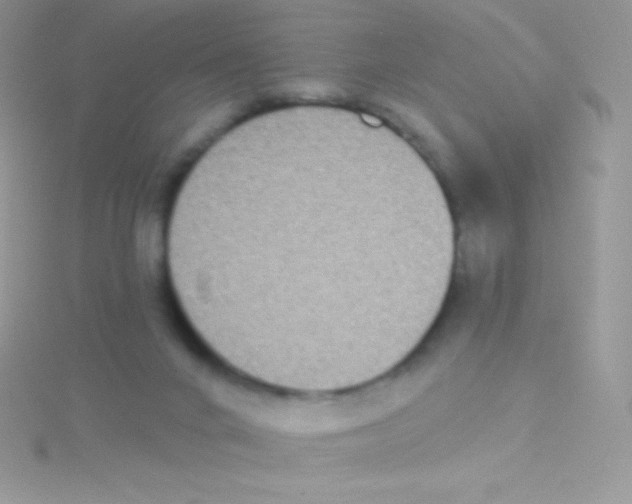 X0000115050024200911231203