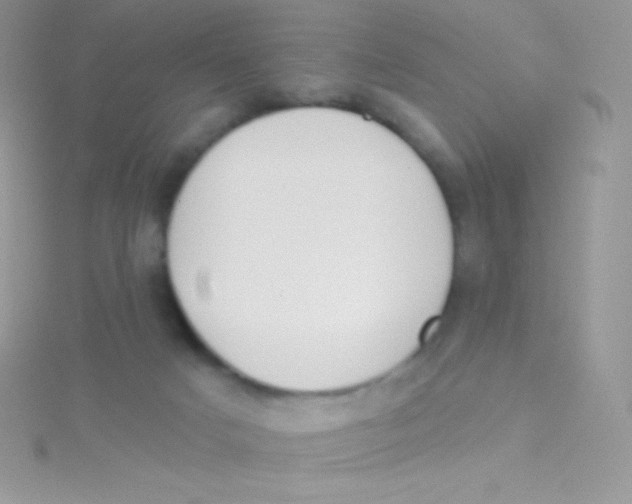 X0000115050025200911231203