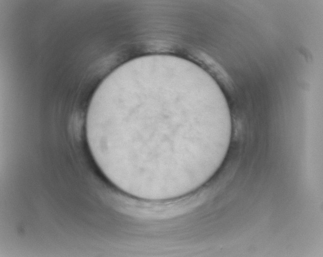 X0000115050026200911231203