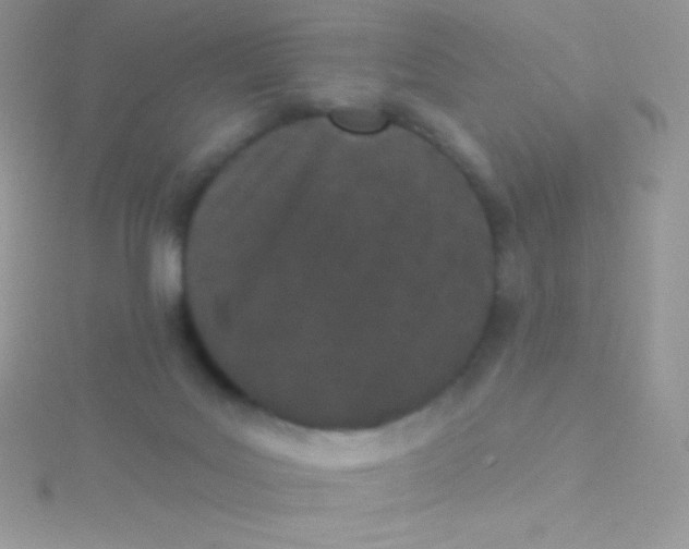 X0000115050027200911231203